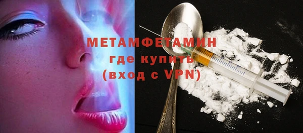 индика Инта