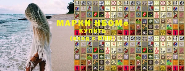 индика Инта