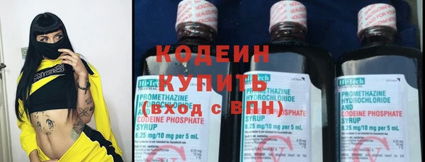 индика Инта