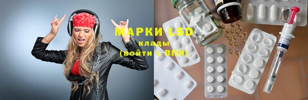 индика Инта