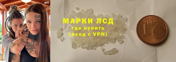 индика Инта