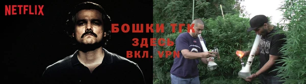 прущая мука Иннополис