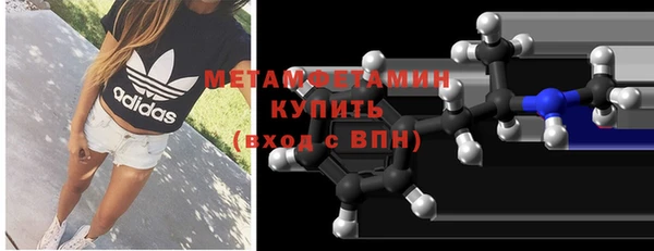 индика Инта
