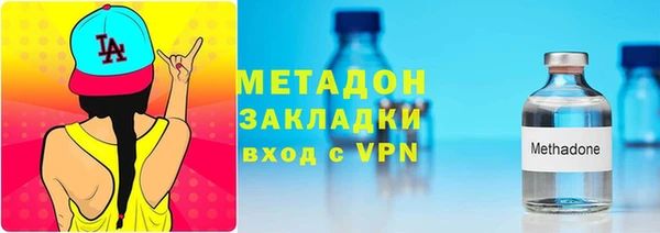 индика Инта