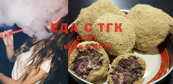 индика Инта
