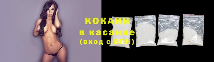 индика Инта