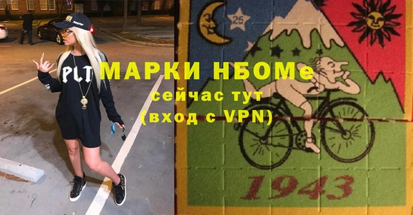 индика Инта