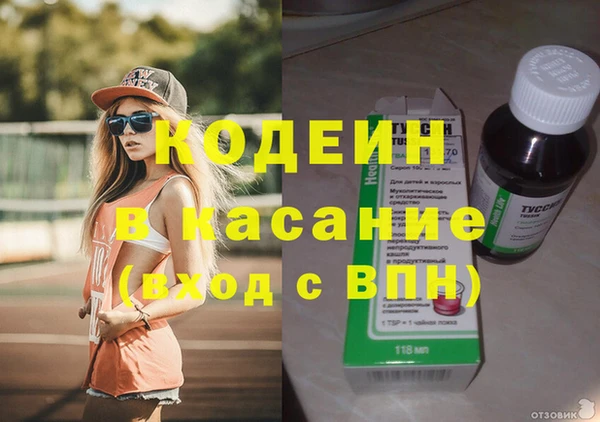 индика Инта