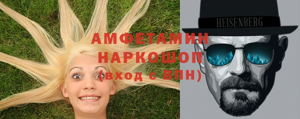 индика Инта