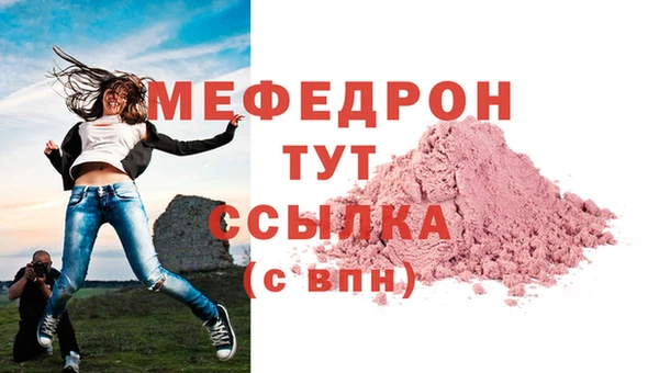 индика Инта