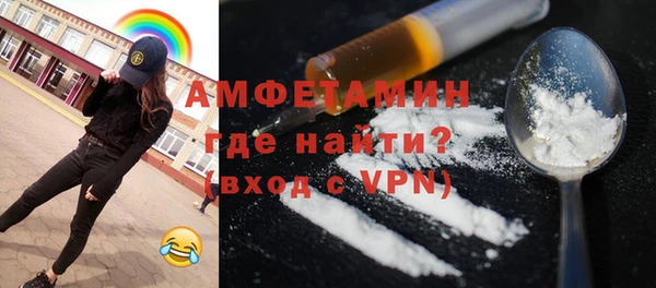индика Инта