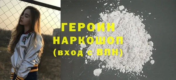 индика Инта