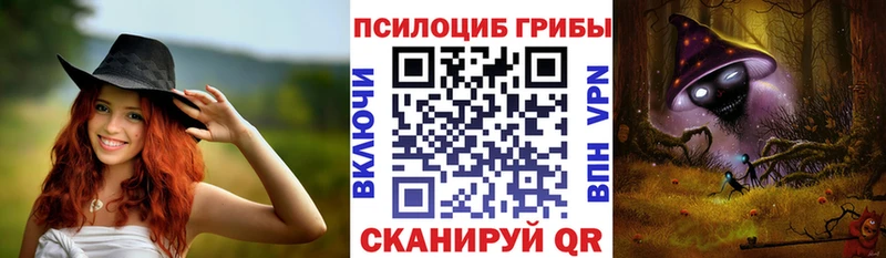Галлюциногенные грибы мицелий  Купить где  Ветлуга 